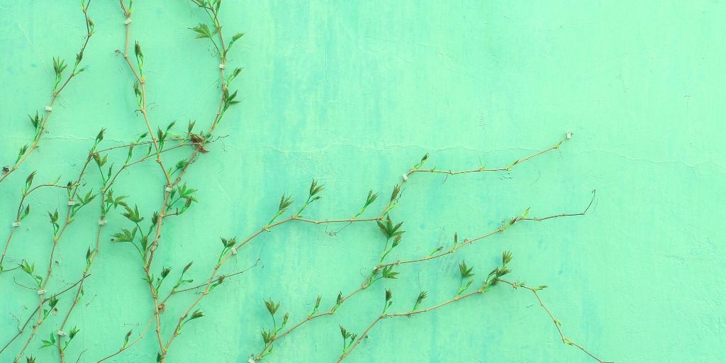 丸山穂高の経歴 学歴がやばい 結婚相手の嫁 妻 や子供も調査 G Day Mate